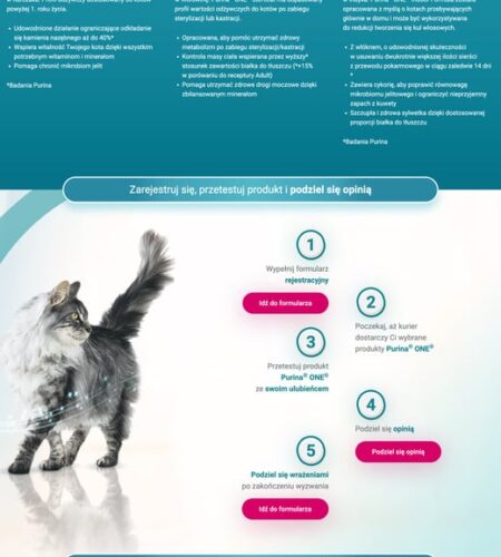 Darmowe próbki karmy Purina ONE dla kota – jak zamówić zestaw?